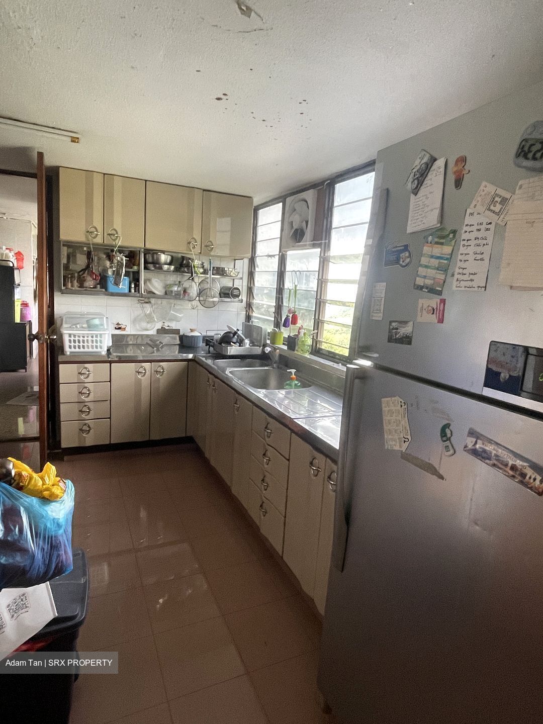 Pandan Valley (D21), Condominium #553105161